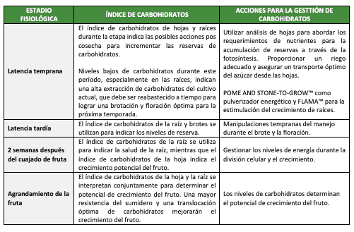 Carbohidratos