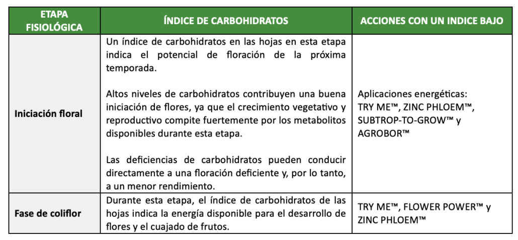 Carbohidratos