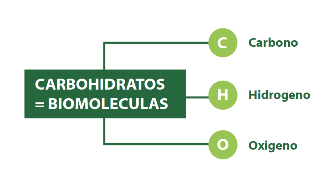 Carbohidratos